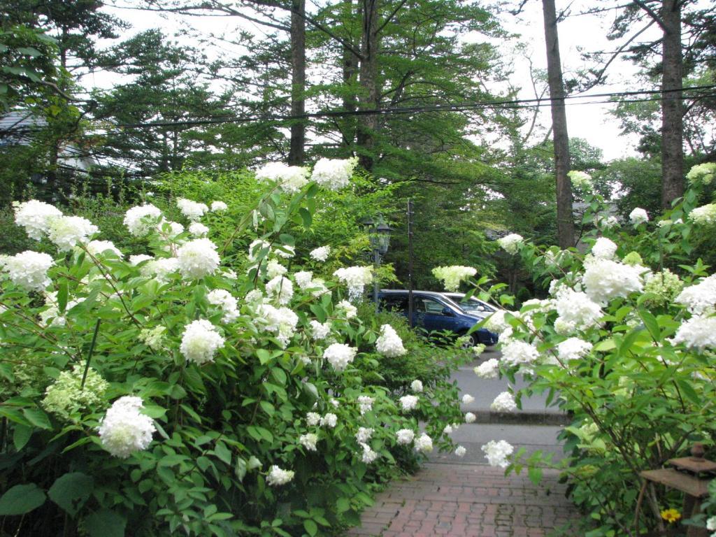 Hotel De Karuizawa Wald Buitenkant foto